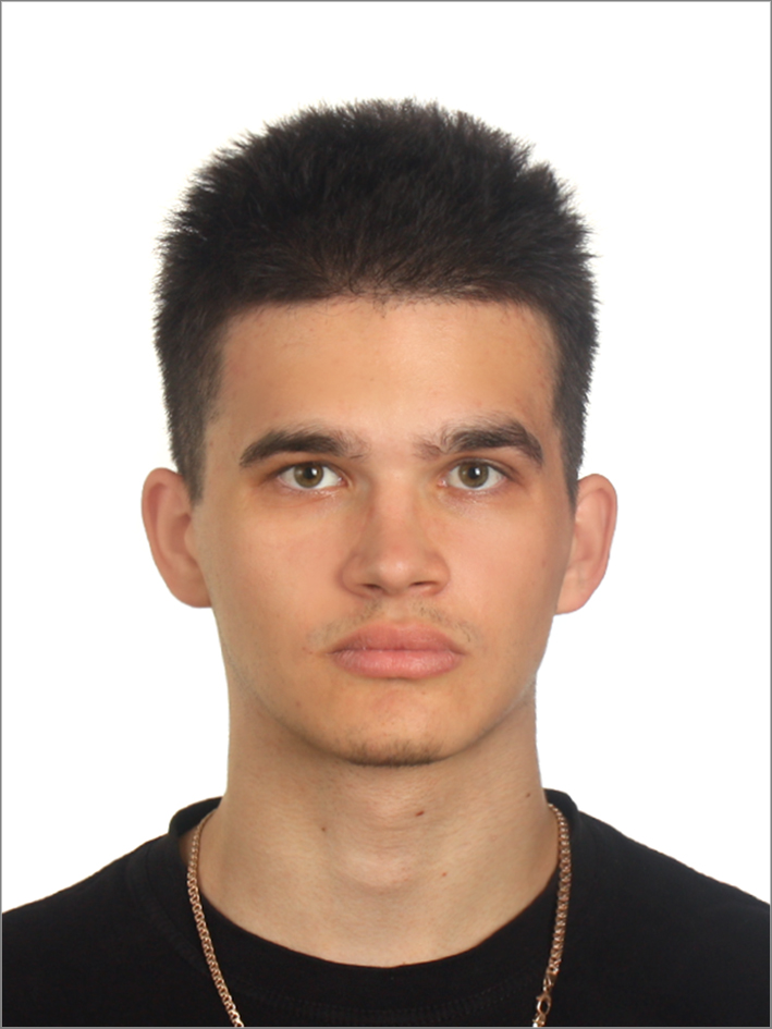 Александр Шамшурин